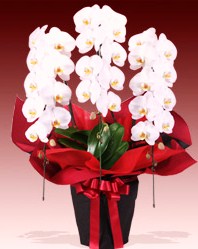 お届けさせていただきました！！|「フロリストシャイン」　（大阪府大阪市淀川区の花屋）のブログ