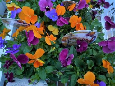 そろそろシーズンの到来！！|「フロリストシャイン」　（大阪府大阪市淀川区の花屋）のブログ