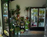 「フロリストシャイン」　（大阪府大阪市淀川区）の花屋店舗写真1